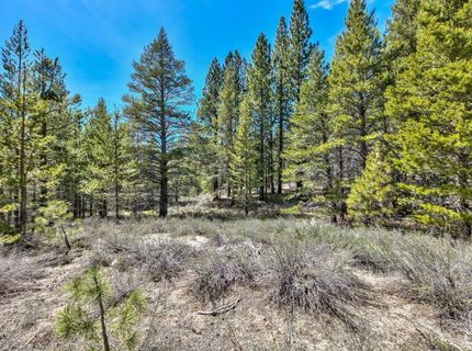Please Call For Address, South Lake Tahoe, CA 96150 Photo