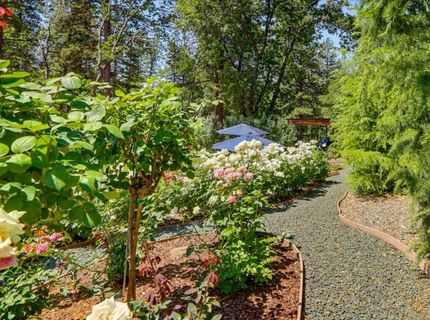 10213 Evergreen Ranch Ct, Grass Valley, CA 95949 Photo