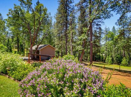 10213 Evergreen Ranch Ct, Grass Valley, CA 95949 Photo