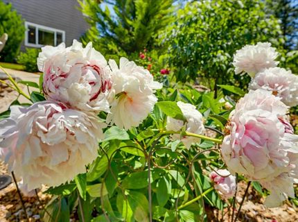 10213 Evergreen Ranch Ct, Grass Valley, CA 95949 Photo
