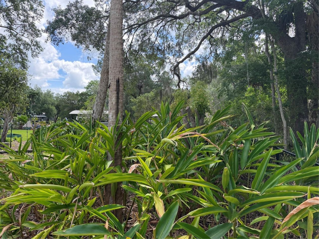 11878 W Riverhaven Drive, Homosassa, FL 34448 Photo