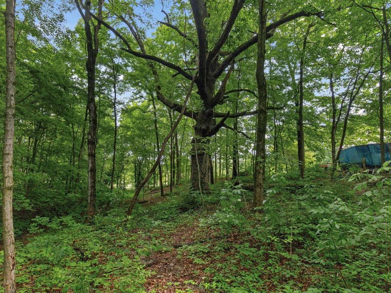 7207 Coonpath Road NW, Carroll, OH 43112 Photo 100