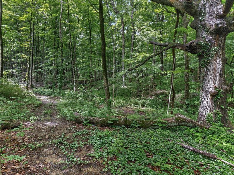 7207 Coonpath Road NW, Carroll, OH 43112 Photo 102