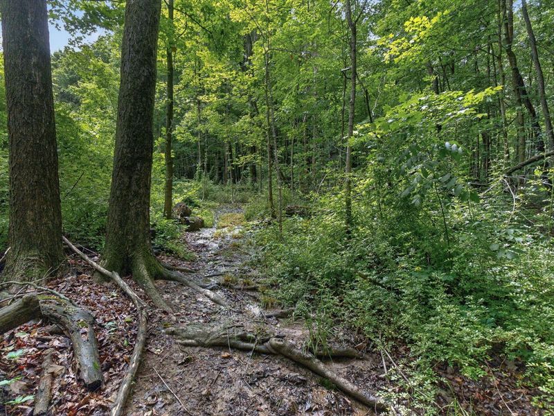 7207 Coonpath Road NW, Carroll, OH 43112 Photo 103
