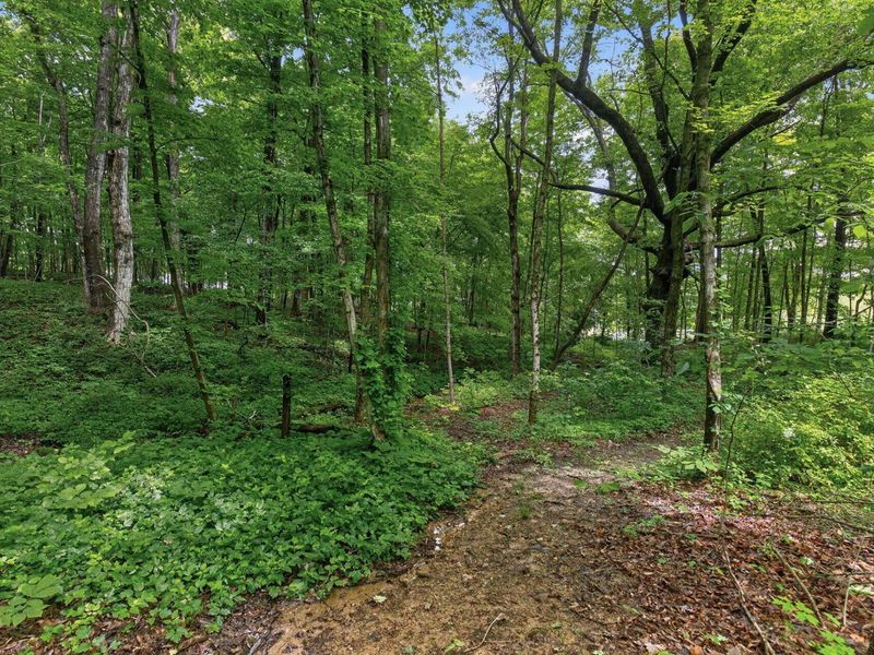 7207 Coonpath Road NW, Carroll, OH 43112 Photo 104