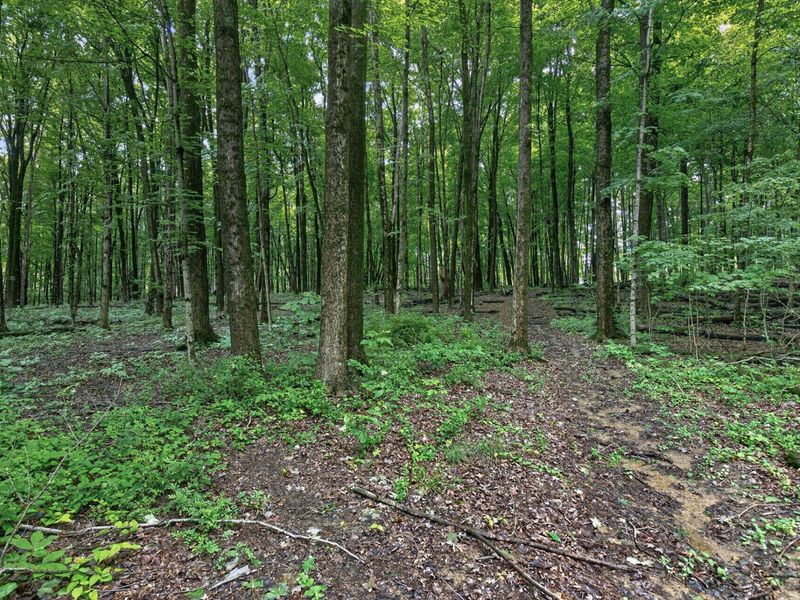 7207 Coonpath Road NW, Carroll, OH 43112 Photo 105