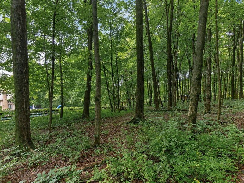 7207 Coonpath Road NW, Carroll, OH 43112 Photo 106