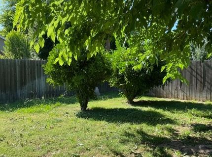 1401 Wyant Way, Sacramento, CA 95864 Photo