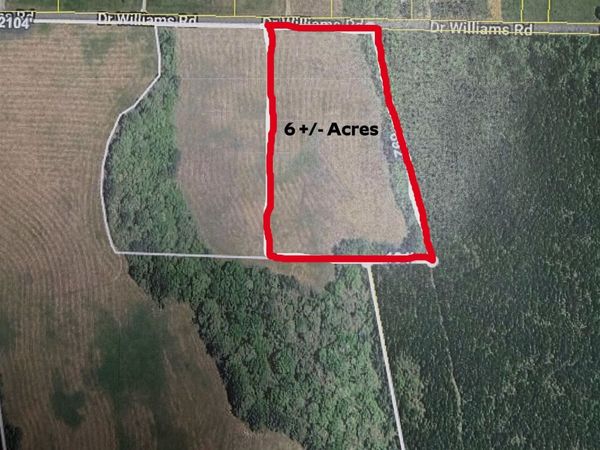 1 DR WILLIAMS RD , Michie, TN 38357