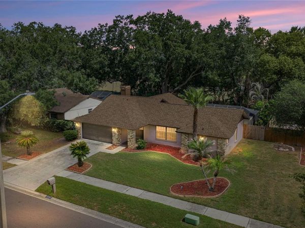 1737 SHADY LEAF DRIVE , VALRICO, FL 33596