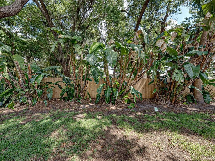 Property Image 58