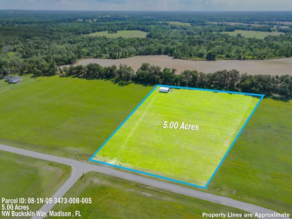 0 NW Buckskin Way , Madison, FL
