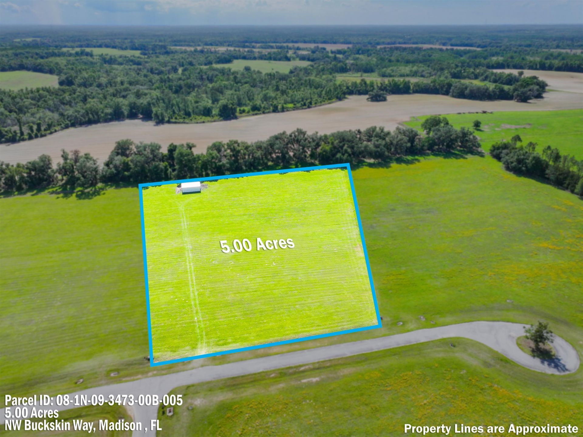 0 NW Buckskin Way, Madison, FL 00000 Photo