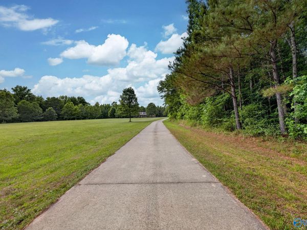 725 County Road 195, Danville, AL 35619