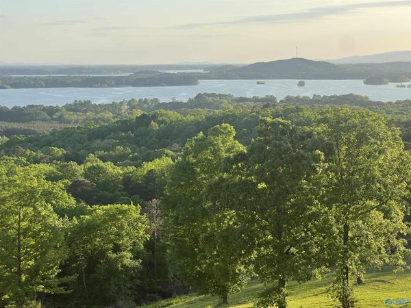 Lot 21 County Road 1015, Cedar Bluff, AL 35959