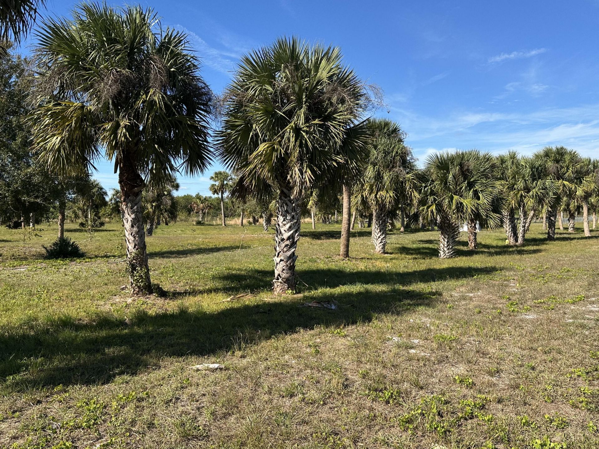 27325 SW Tommy Clements Street, Indiantown, FL 34956 Photo