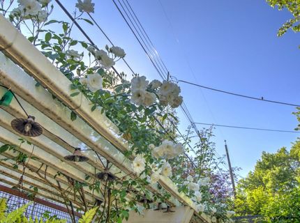 1840 9th Ave, Sacramento, CA 95818 Photo