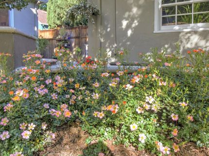 1840 9th Ave, Sacramento, CA 95818 Photo