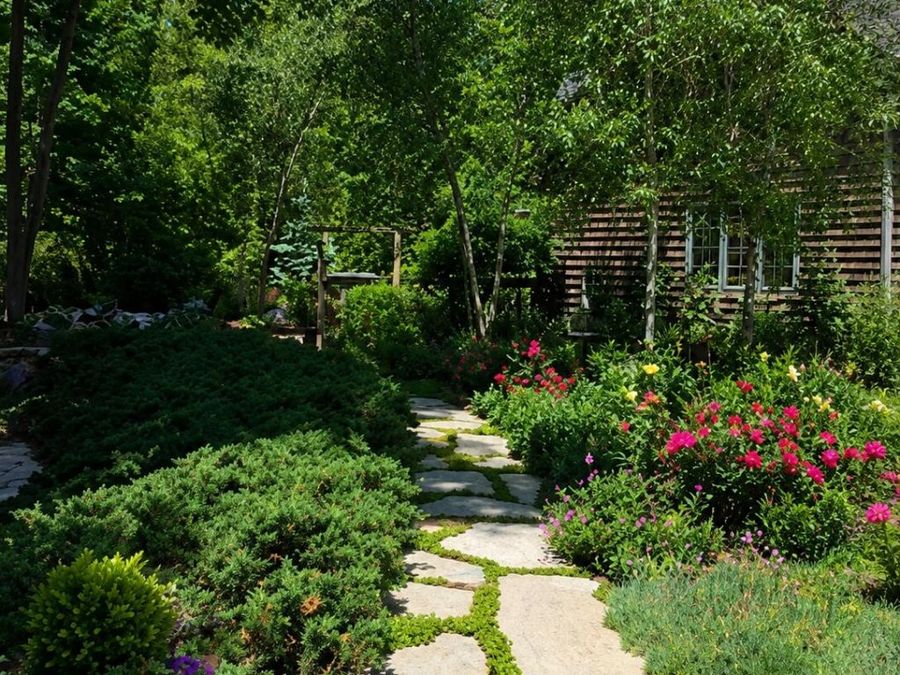 Property Image 57