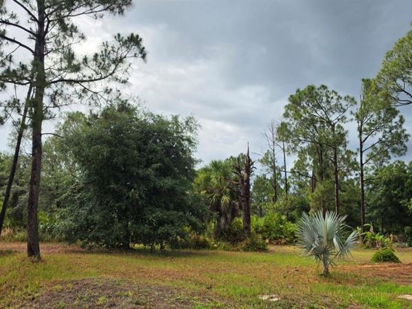 PERENNIAL ROAD , NORTH PORT, FL 34291