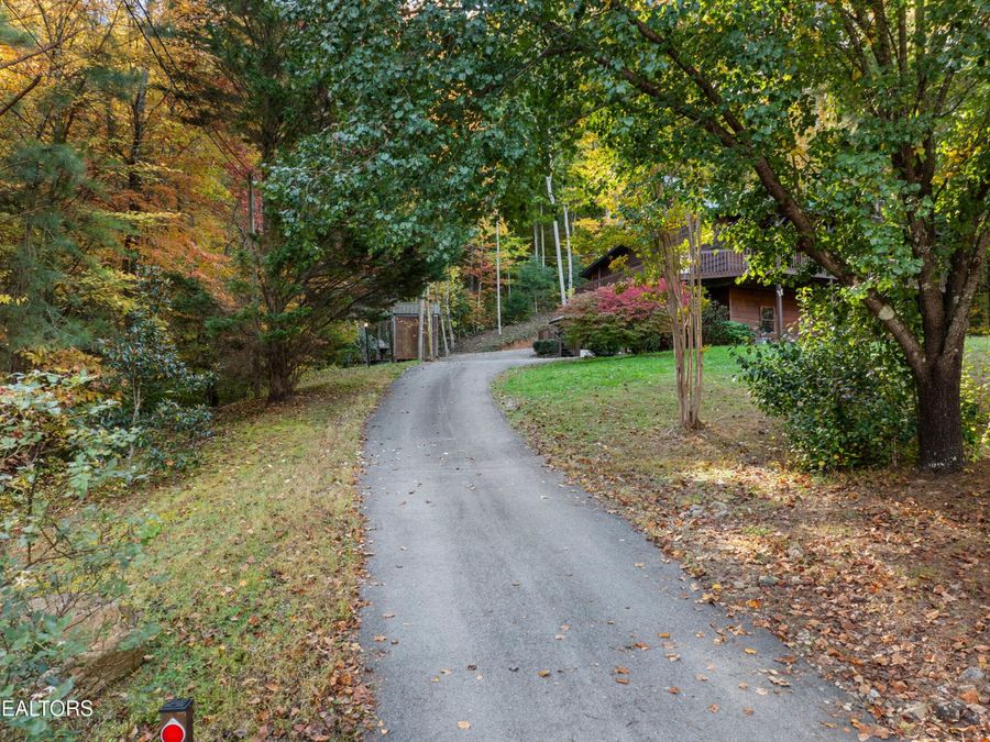 Property Image 51