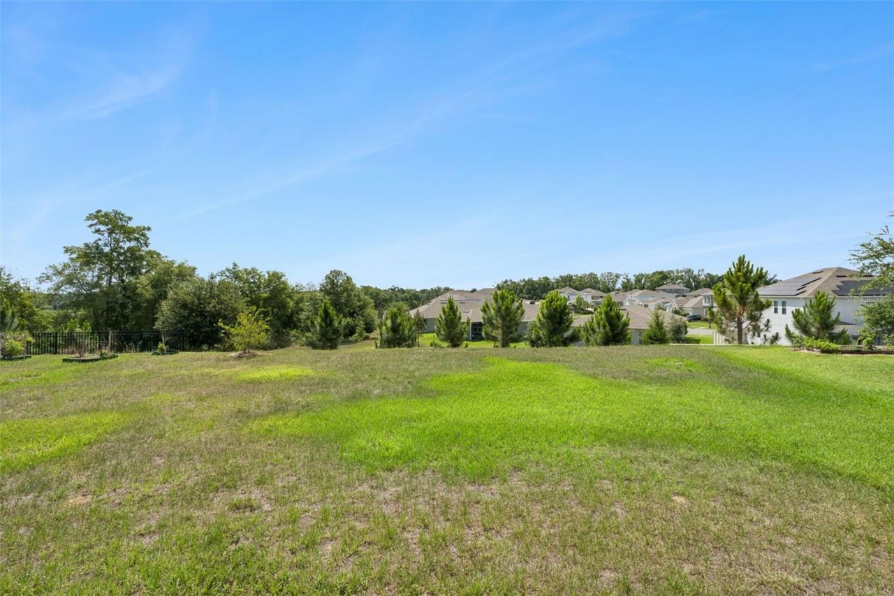 2932 Muller Oak Loop , Ocoee, FL 34761 Photo
