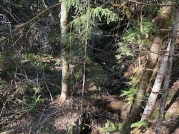 0 French Peak Road, Unit 405, Cave Junction, OR 97523