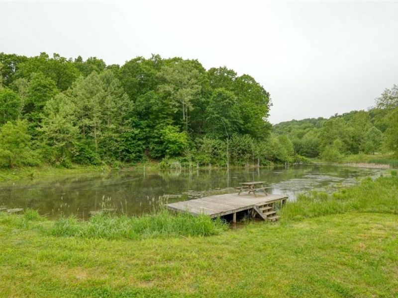 280 Virginia Ridge Road, Philo, OH 43771 Photo 48
