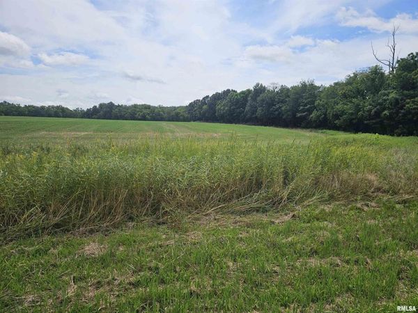 0000 Roseborough Road , Sparta, IL 62286