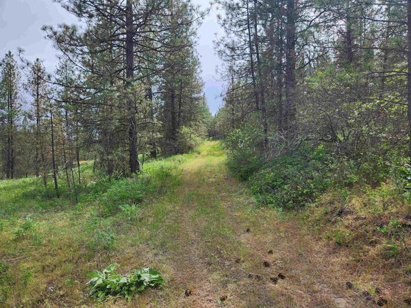 6269 Miller Mountain Rd, Fruitland, WA 99129