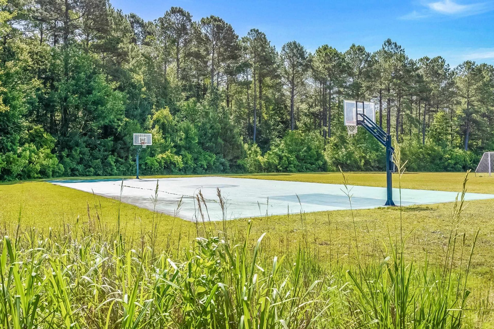 395 Thistle Ln. Photo 43