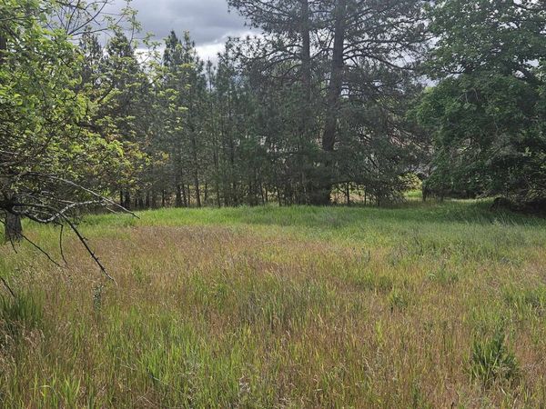 612 W Ivanhoe Rd, Spokane, WA 99218
