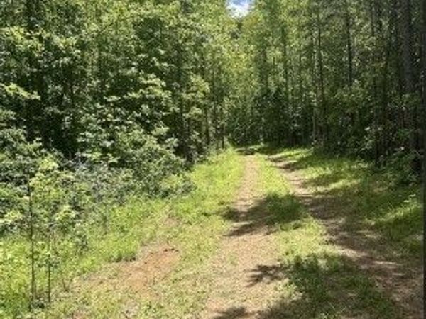 Pointe Mayo Drive, Roxboro, NC 27574
