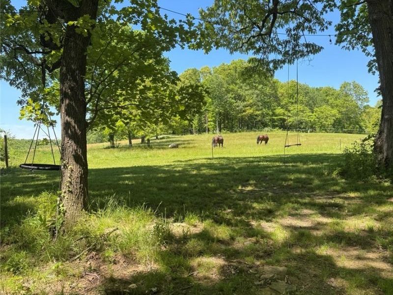 5091 Apollo Road NE, Salineville, OH 43945 Photo 16