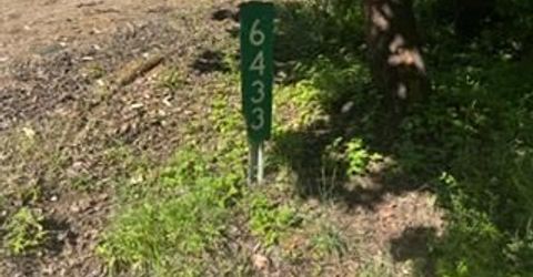 6433 Peg Leg Mine Rd, Georgetown, CA 95634 Photo