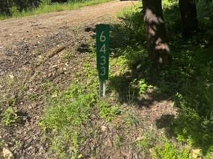 6433 Peg Leg Mine Rd, Georgetown, CA 95634 Photo