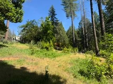 6433 Peg Leg Mine Rd, Georgetown, CA 95634 Photo