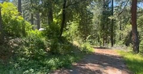 6433 Peg Leg Mine Rd, Georgetown, CA 95634 Photo