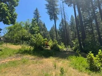 6433 Peg Leg Mine Rd, Georgetown, CA 95634 Photo