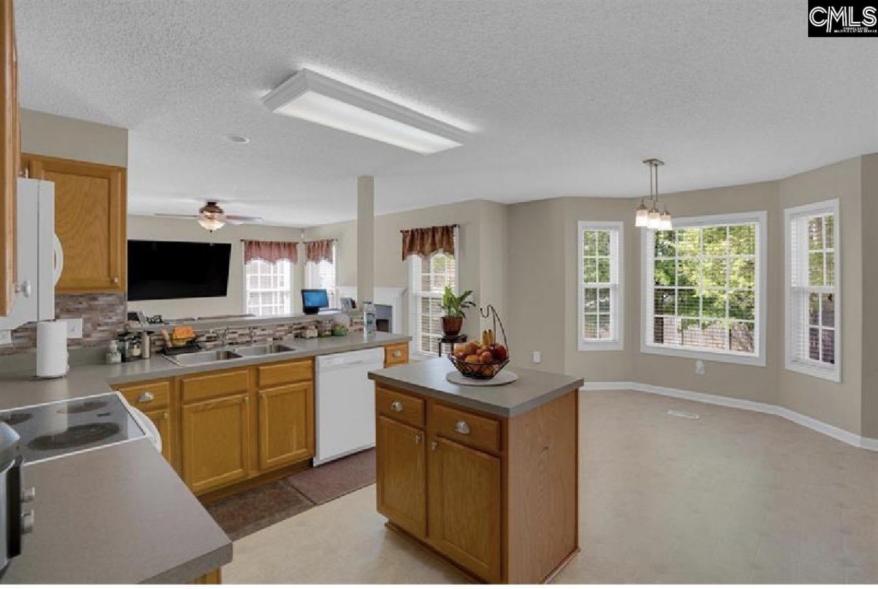 203 Hope Creek Drive Photo 10