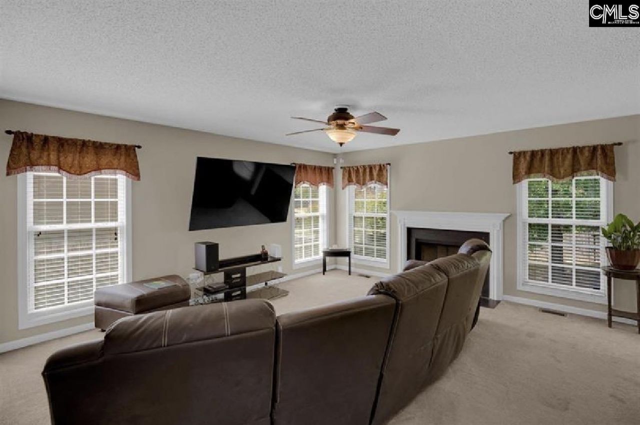 203 Hope Creek Drive Photo 14