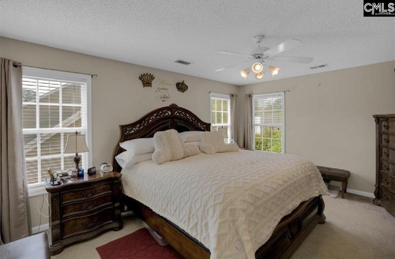 203 Hope Creek Drive Photo 17