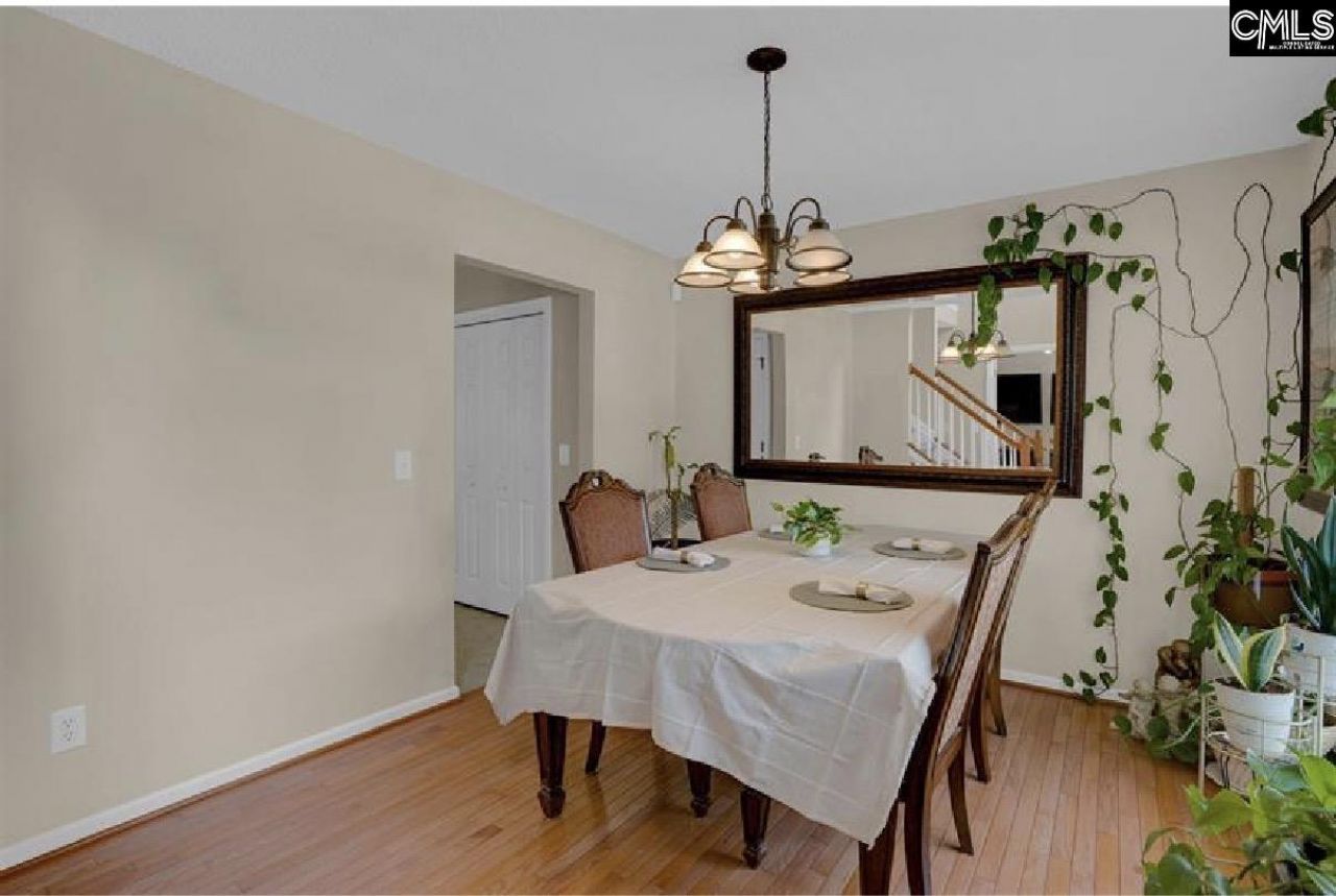 203 Hope Creek Drive Photo 9