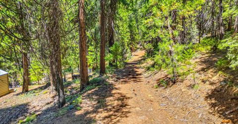 6869 Almanor Lake Estates Drive, Lake Almanor, CA 96137 Photo