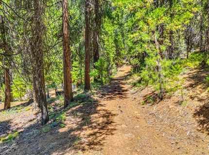 6869 Almanor Lake Estates Drive, Lake Almanor, CA 96137 Photo