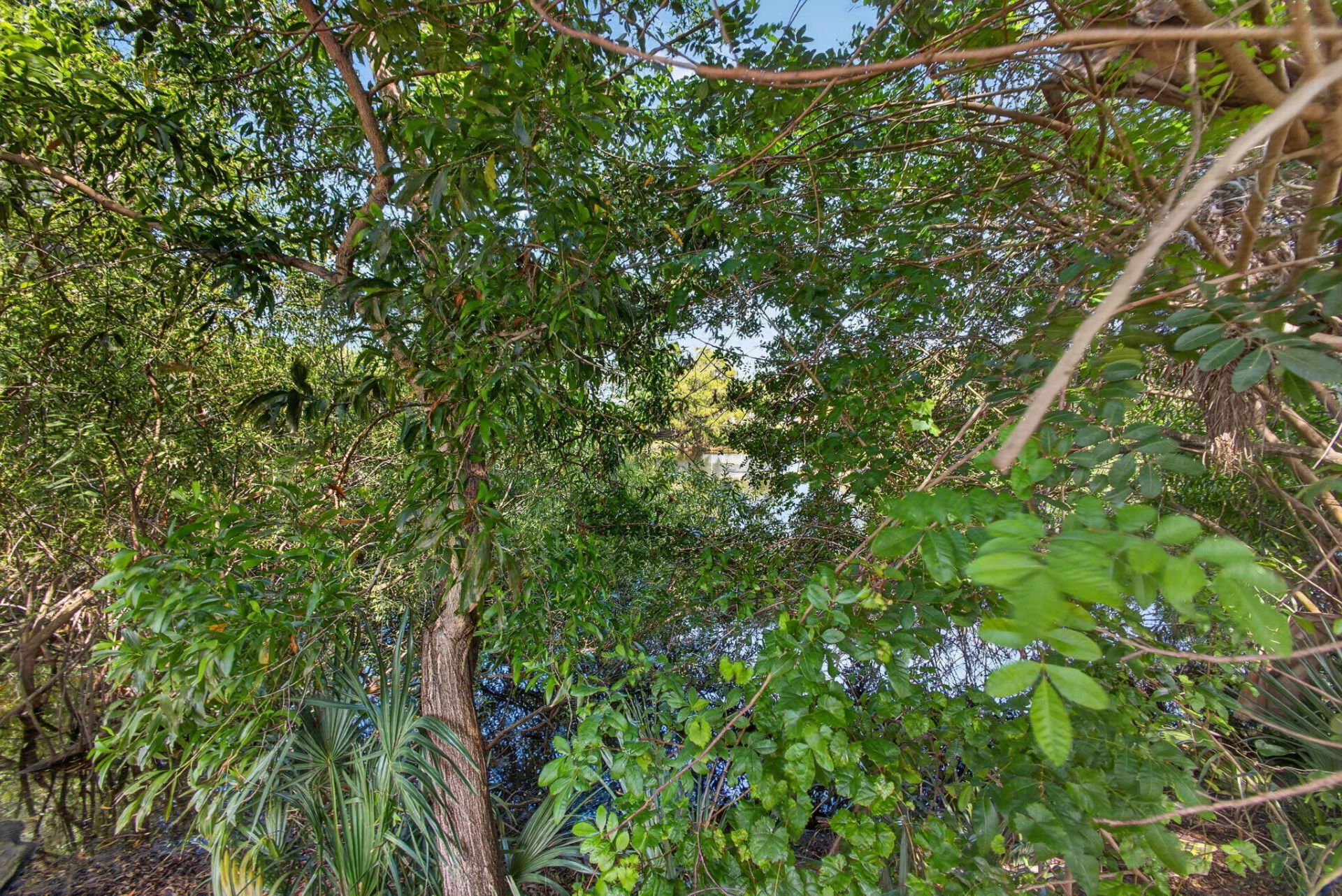 5500 West Place, Mangonia Park, FL 33407 Photo