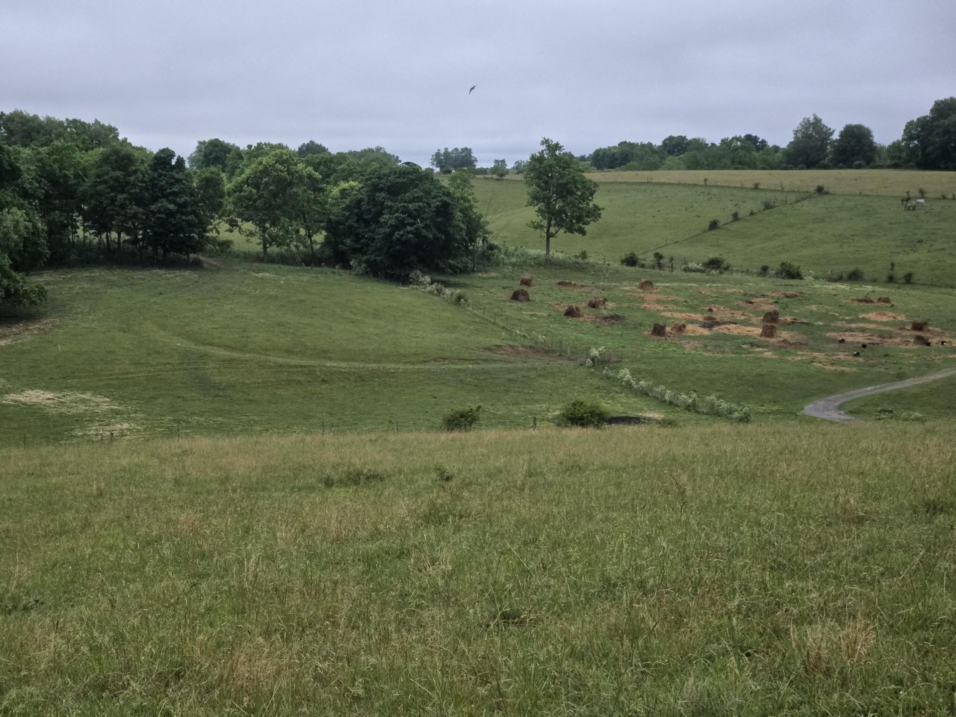 4430 State Hwy 1194 , Stanford, KY 40484