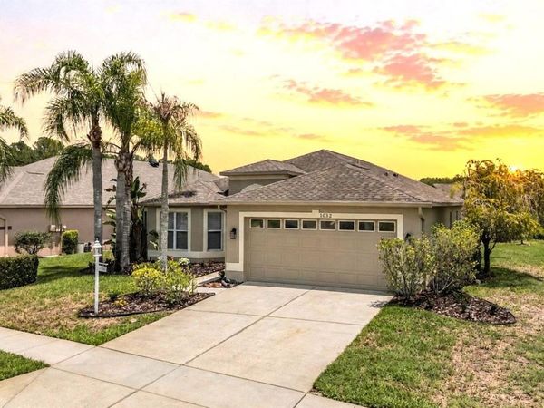 1032 DUSTAN PLACE, TRINITY, FL 34655