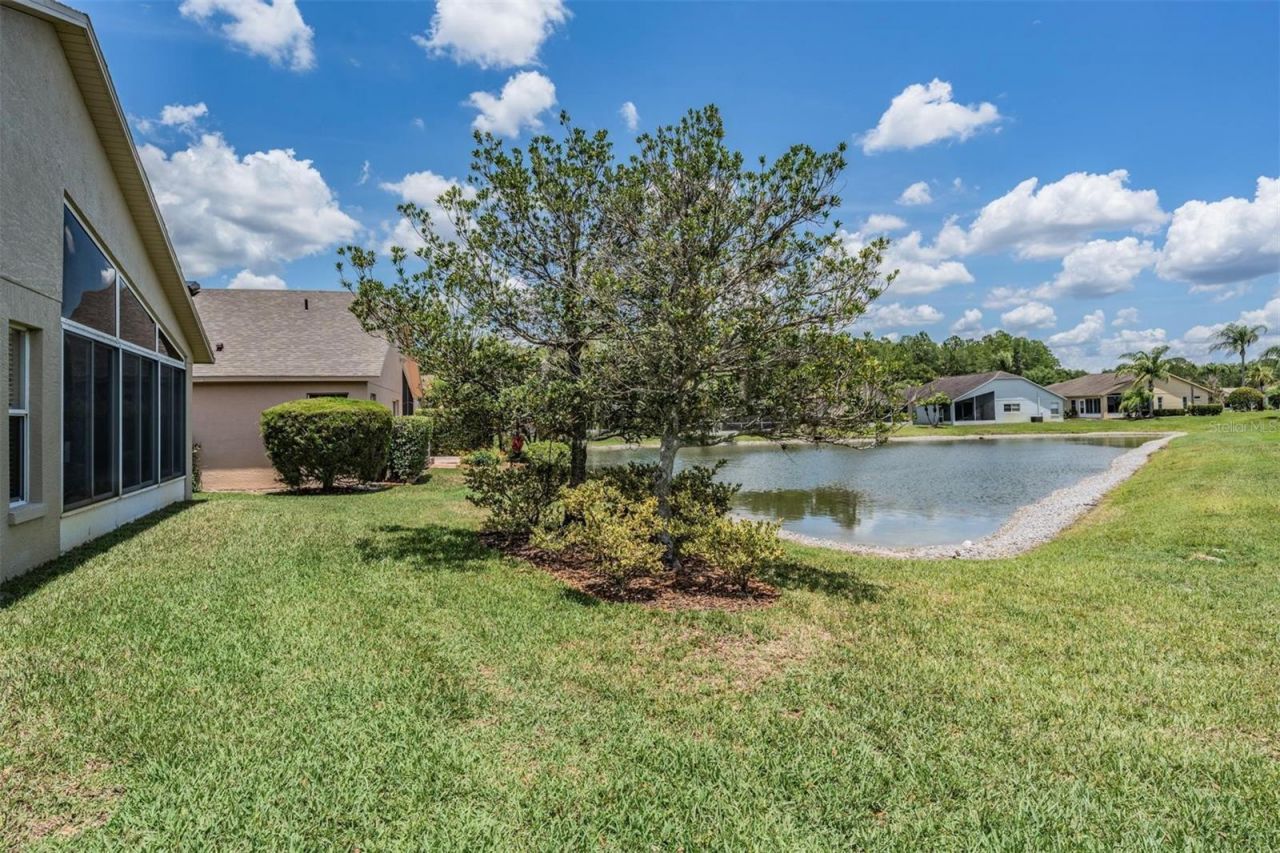 1032 Dustan Place, Trinity, FL 34655 Photo