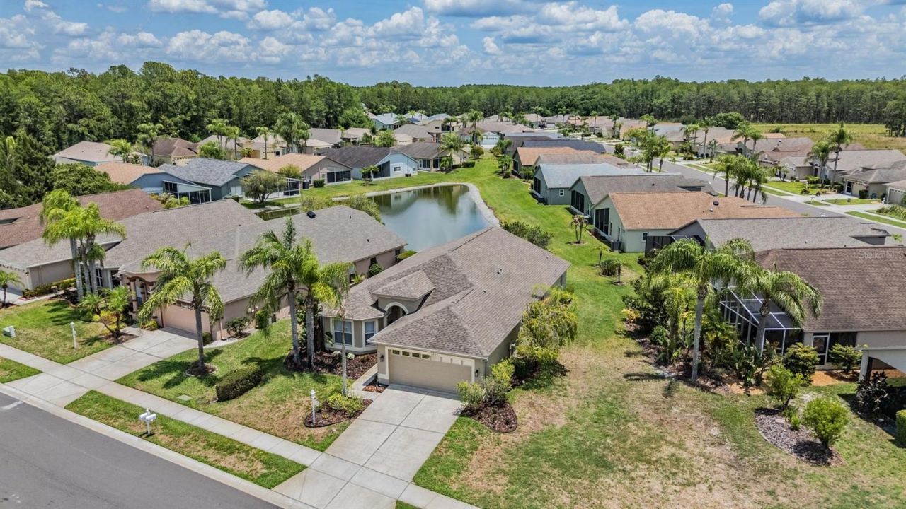 1032 Dustan Place, Trinity, FL 34655 Photo